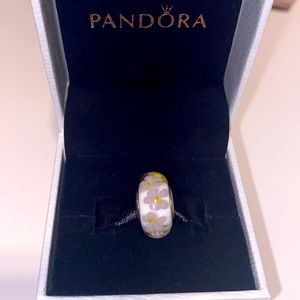 Pandora Retired Murano Charm